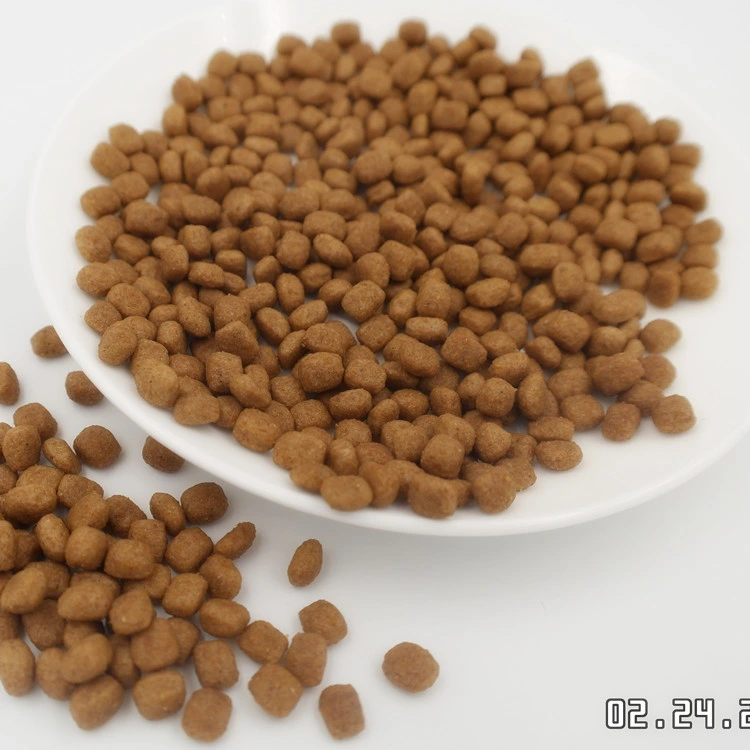 OEM ODM Customize 20kg Bulk Cat Food Pet Staple Food Dry Cat Food Cat Products